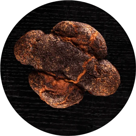 colomba cioccolato forno pietro freddi