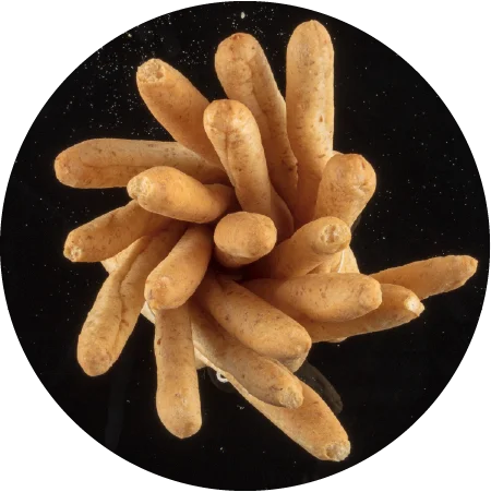 grissini con farina macinata a pietra